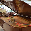 1876 Rosewood Steinway Style IV - Grand Pianos